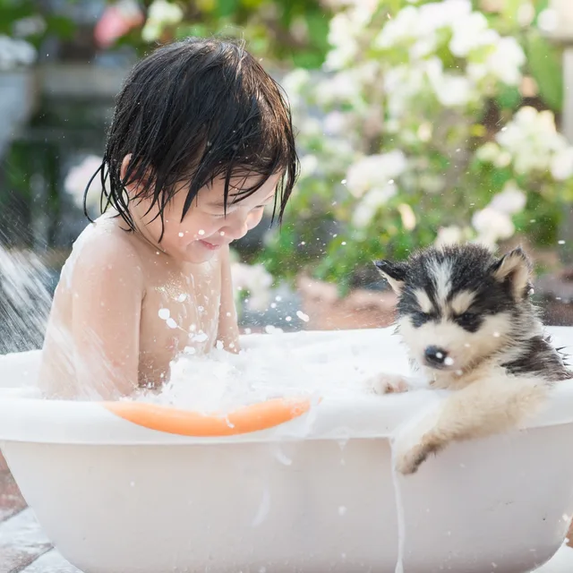 全戶淨水器